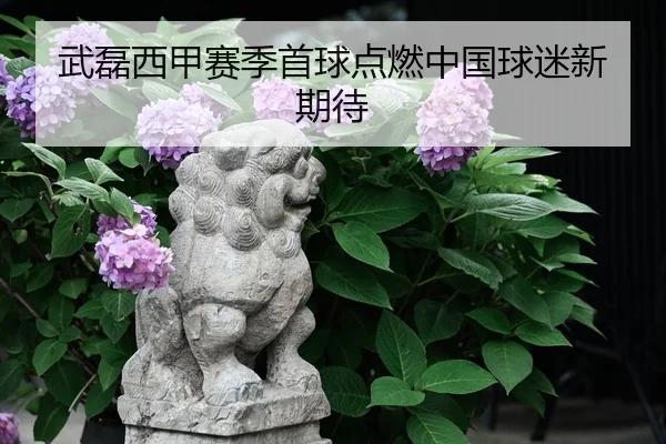 武磊西甲赛季首球点燃中国球迷新期待 | leyu